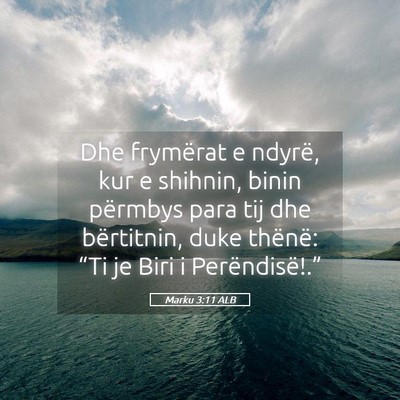 Picture 05 - Marku 3:11 ALB - Dhe frymërat e ndyrë, kur e shihnin, binin - Bible Verse Picture