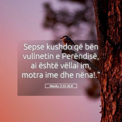 Picture 05 - Marku 3:35 ALB - Sepse kushdo që bën vullnetin e Perëndisë, ai - Bible Verse Picture