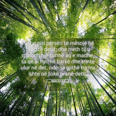 Picture 05 - Marku 4:1 ALB - Pastaj nisi përsëri të mësojë në breg të - Bible Verse Picture