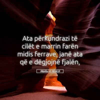 Picture 05 - Marku 4:18 ALB - Ata përkundrazi të cilët e marrin farën midis - Bible Verse Picture