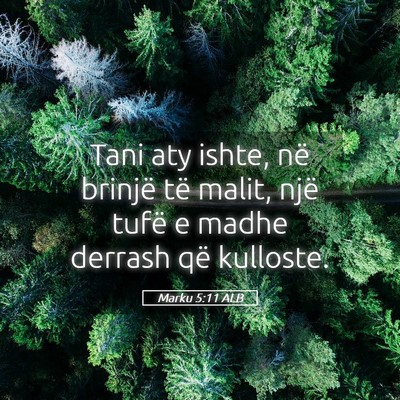 Picture 05 - Marku 5:11 ALB - Tani aty ishte, në brinjë të malit, një tufë - Bible Verse Picture