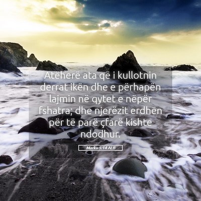 Picture 05 - Marku 5:14 ALB - Atëherë ata që i kullotnin derrat ikën dhe e - Bible Verse Picture