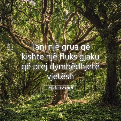Picture 05 - Marku 5:25 ALB - Tani një grua që kishte një fluks gjaku që - Bible Verse Picture