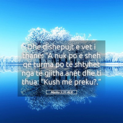 Picture 05 - Marku 5:31 ALB - Dhe dishepujt e vet i thanë: “A nuk po e sheh - Bible Verse Picture
