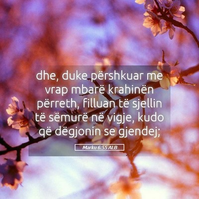 Picture 05 - Marku 6:55 ALB - dhe, duke përshkuar me vrap mbarë krahinën - Bible Verse Picture