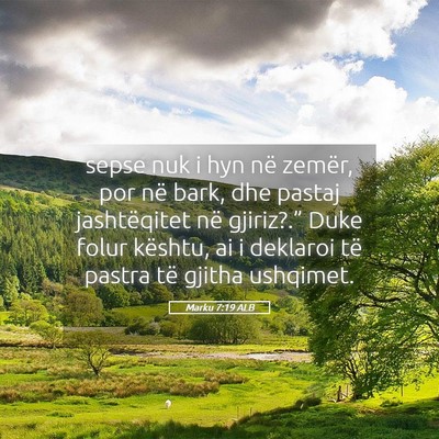 Picture 05 - Marku 7:19 ALB - sepse nuk i hyn në zemër, por në bark, dhe - Bible Verse Picture