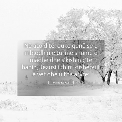 Picture 05 - Marku 8:1 ALB - Në ato ditë, duke qenë se u mblodh një turmë - Bible Verse Picture