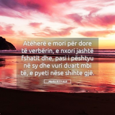 Picture 05 - Marku 8:23 ALB - Atëherë e mori për dore të verbërin, e nxori - Bible Verse Picture