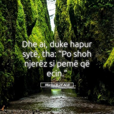 Picture 05 - Marku 8:24 ALB - Dhe ai, duke hapur sytë, tha: “Po shoh njerëz - Bible Verse Picture