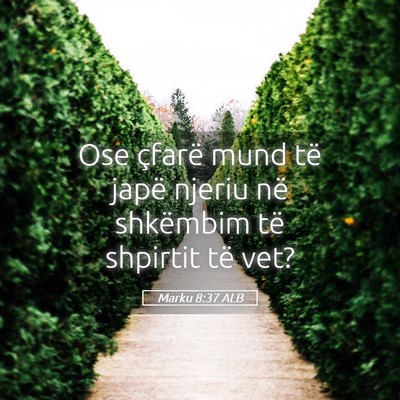 Picture 05 - Marku 8:37 ALB - Ose çfarë mund të japë njeriu në shkëmbim - Bible Verse Picture