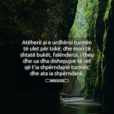 Picture 05 - Marku 8:6 ALB - Atëherë ai e urdhëroi turmën të ulet për - Bible Verse Picture