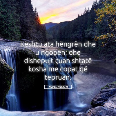 Picture 05 - Marku 8:8 ALB - Kështu ata hëngrën dhe u ngopën; dhe - Bible Verse Picture