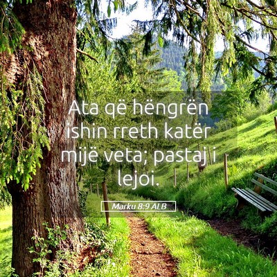 Picture 05 - Marku 8:9 ALB - Ata që hëngrën ishin rreth katër mijë veta; - Bible Verse Picture
