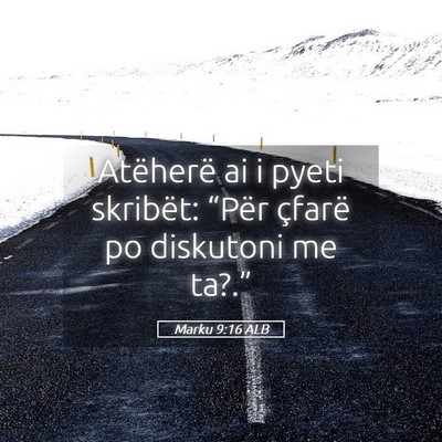 Picture 05 - Marku 9:16 ALB - Atëherë ai i pyeti skribët: “Për çfarë po - Bible Verse Picture