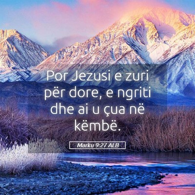 Picture 05 - Marku 9:27 ALB - Por Jezusi e zuri për dore, e ngriti dhe ai u - Bible Verse Picture