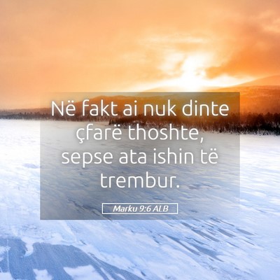 Picture 05 - Marku 9:6 ALB - Në fakt ai nuk dinte çfarë thoshte, sepse ata - Bible Verse Picture