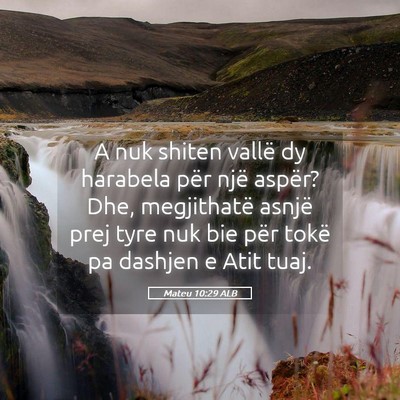 Picture 05 - Mateu 10:29 ALB - A nuk shiten vallë dy harabela për një aspër? - Bible Verse Picture