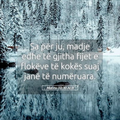 Picture 05 - Mateu 10:30 ALB - Sa për ju, madje edhe të gjitha fijet e - Bible Verse Picture