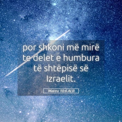 Picture 05 - Mateu 10:6 ALB - por shkoni më mirë te delet e humbura të - Bible Verse Picture