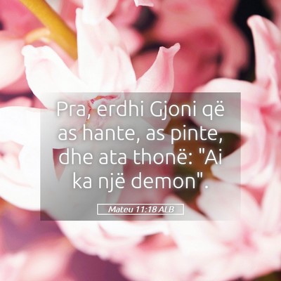 Picture 05 - Mateu 11:18 ALB - Pra, erdhi Gjoni që as hante, as pinte, dhe ata - Bible Verse Picture