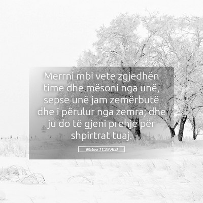 Picture 05 - Mateu 11:29 ALB - Merrni mbi vete zgjedhën time dhe mësoni nga - Bible Verse Picture