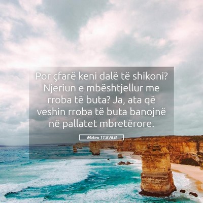 Picture 05 - Mateu 11:8 ALB - Por çfarë keni dalë të shikoni? Njeriun e - Bible Verse Picture