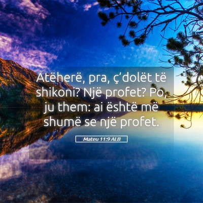 Picture 05 - Mateu 11:9 ALB - Atëherë, pra, ç’dolët të shikoni? Një - Bible Verse Picture