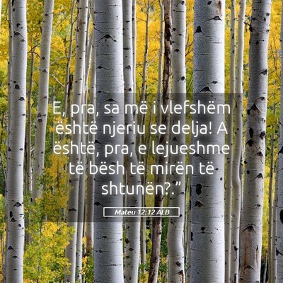 Picture 05 - Mateu 12:12 ALB - E, pra, sa më i vlefshëm është njeriu se - Bible Verse Picture