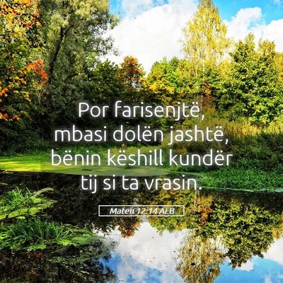 Picture 05 - Mateu 12:14 ALB - Por farisenjtë, mbasi dolën jashtë, bënin - Bible Verse Picture