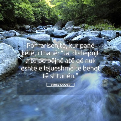 Picture 05 - Mateu 12:2 ALB - Por farisenjtë, kur panë këtë, i thanë: - Bible Verse Picture
