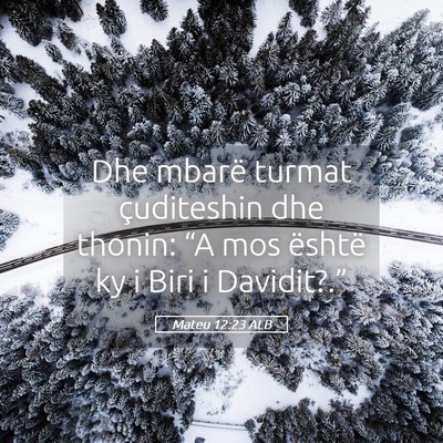 Picture 05 - Mateu 12:23 ALB - Dhe mbarë turmat çuditeshin dhe thonin: “A - Bible Verse Picture