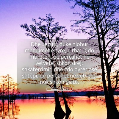 Picture 05 - Mateu 12:25 ALB - Dhe Jezusi, duke njohur mendimet e tyre, u tha: - Bible Verse Picture