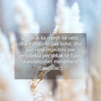 Picture 05 - Mateu 13:21 ALB - por, nuk ka rrënjë në vete, dhe është për - Bible Verse Picture