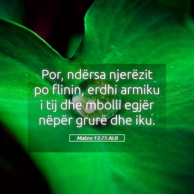 Picture 05 - Mateu 13:25 ALB - Por, ndërsa njerëzit po flinin, erdhi armiku i - Bible Verse Picture