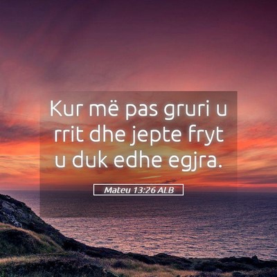 Picture 05 - Mateu 13:26 ALB - Kur më pas gruri u rrit dhe jepte fryt u duk - Bible Verse Picture