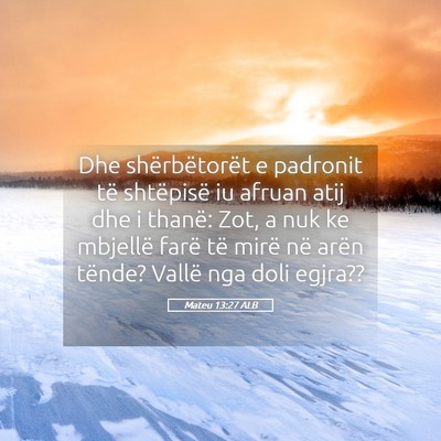 Picture 05 - Mateu 13:27 ALB - Dhe shërbëtorët e padronit të shtëpisë iu - Bible Verse Picture