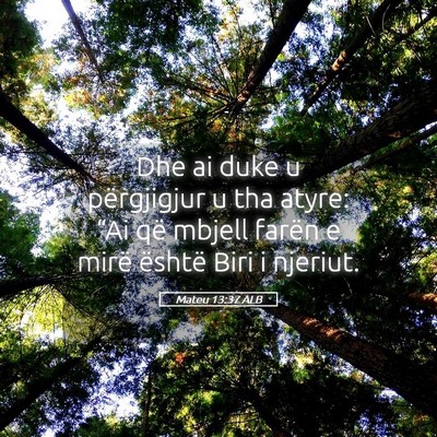 Picture 05 - Mateu 13:37 ALB - Dhe ai duke u përgjigjur u tha atyre: “Ai që - Bible Verse Picture