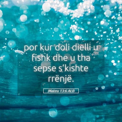Picture 05 - Mateu 13:6 ALB - por kur doli dielli u fishk dhe u tha sepse - Bible Verse Picture