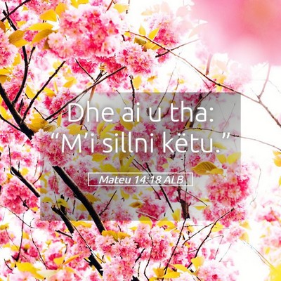 Picture 05 - Mateu 14:18 ALB - Dhe ai u tha: “M’i sillni - Bible Verse Picture