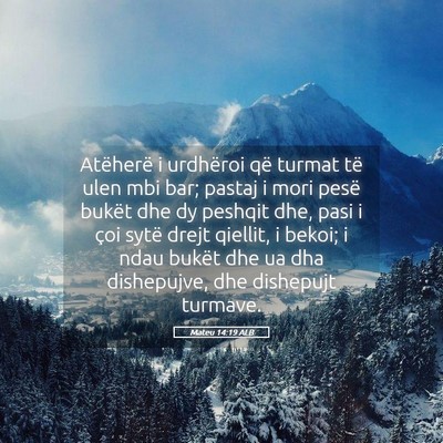Picture 05 - Mateu 14:19 ALB - Atëherë i urdhëroi që turmat të ulen mbi - Bible Verse Picture