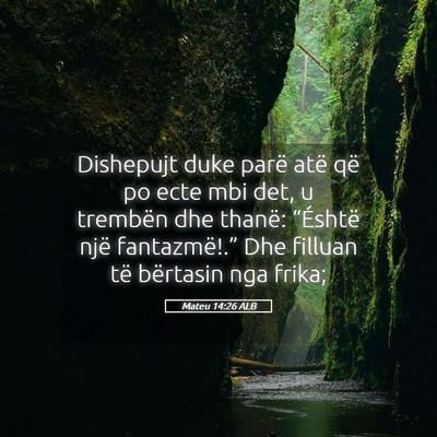 Picture 05 - Mateu 14:26 ALB - Dishepujt duke parë atë që po ecte mbi det, u - Bible Verse Picture