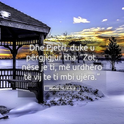 Picture 05 - Mateu 14:28 ALB - Dhe Pjetri, duke u përgjigjur tha: “Zot, nëse - Bible Verse Picture