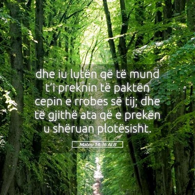 Picture 05 - Mateu 14:36 ALB - dhe iu lutën që të mund t’i preknin të - Bible Verse Picture
