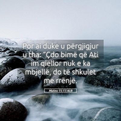 Picture 05 - Mateu 15:13 ALB - Por ai duke u përgjigjur u tha: “Çdo bimë - Bible Verse Picture