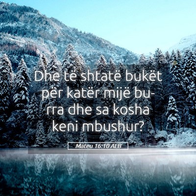 Picture 05 - Mateu 16:10 ALB - Dhe të shtatë bukët për katër mijë bu-rra - Bible Verse Picture