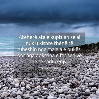 Picture 05 - Mateu 16:12 ALB - Atëherë ata e kuptuan se ai nuk u kishte - Bible Verse Picture