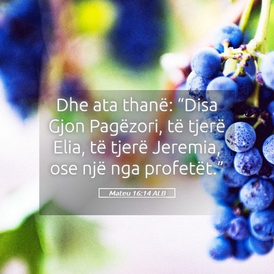 Picture 05 - Mateu 16:14 ALB - Dhe ata thanë: “Disa Gjon Pagëzori, të - Bible Verse Picture