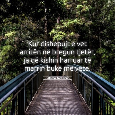 Picture 05 - Mateu 16:5 ALB - Kur dishepujt e vet arritën në bregun tjetër, - Bible Verse Picture