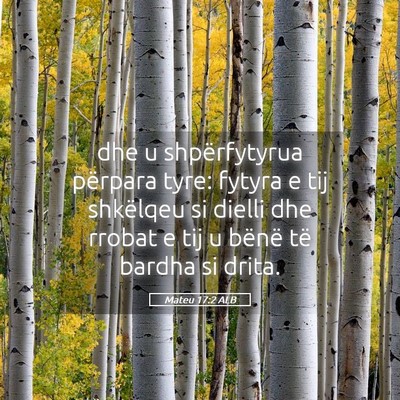 Picture 05 - Mateu 17:2 ALB - dhe u shpërfytyrua përpara tyre: fytyra e tij - Bible Verse Picture