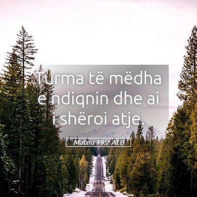 Picture 05 - Mateu 19:2 ALB - Turma të mëdha e ndiqnin dhe ai i shëroi - Bible Verse Picture